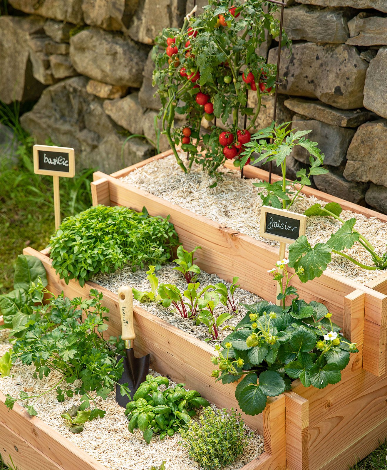 découvrez nos conseils pour bien débuter votre potager en mars, avril et mai : choix des plantations, astuces pour préparer la terre et réussir vos premiers semis. idéal pour les jardiniers débutants !